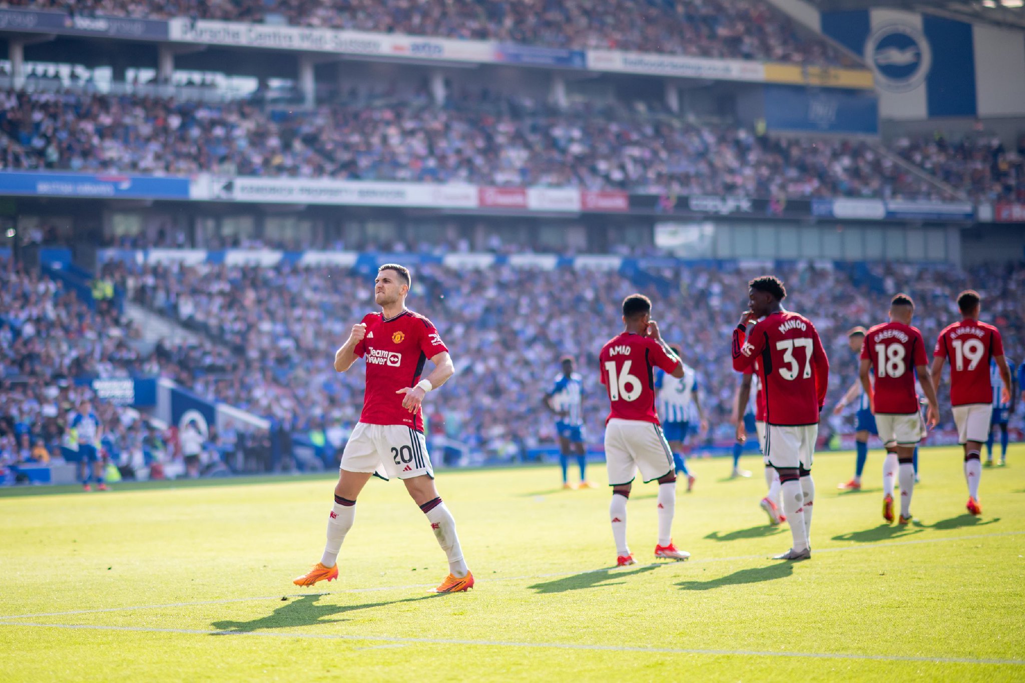 任何虚假的 任何虚假的