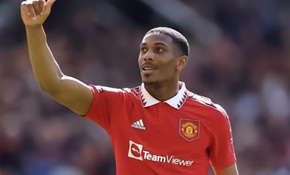 将情绪转化 将情绪转化